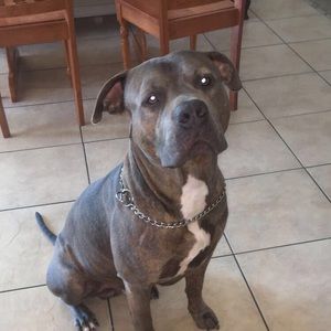 Meet your Posher, Andres